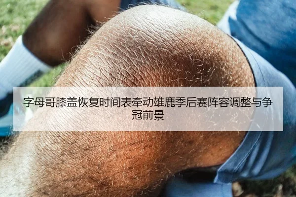 字母哥膝盖恢复时间表牵动雄鹿季后赛阵容调整与争冠前景